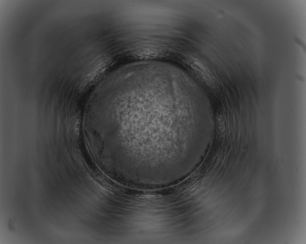 X0000092300499200710051223