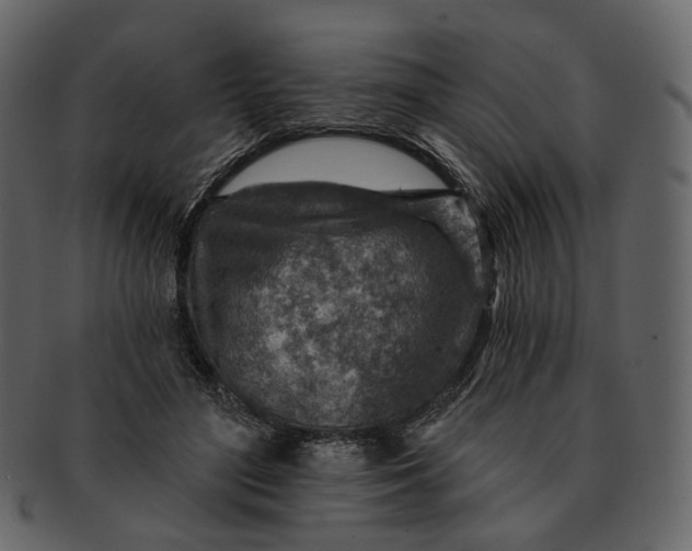 X0000092300500200710051223