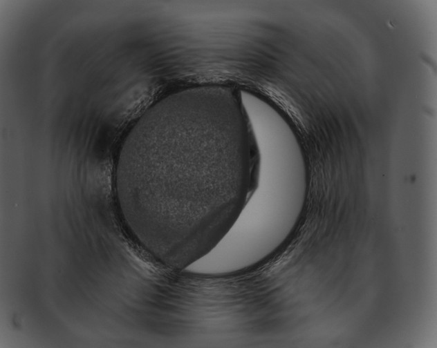 X0000092300501200710051223