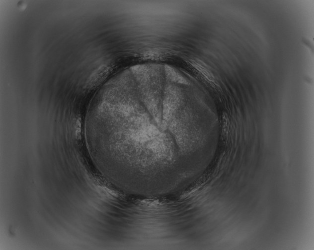 X0000092300502200710051223