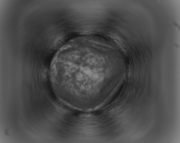 X0000092300503200710051223