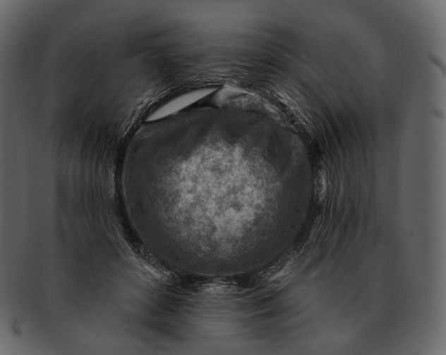 X0000092300504200710051223