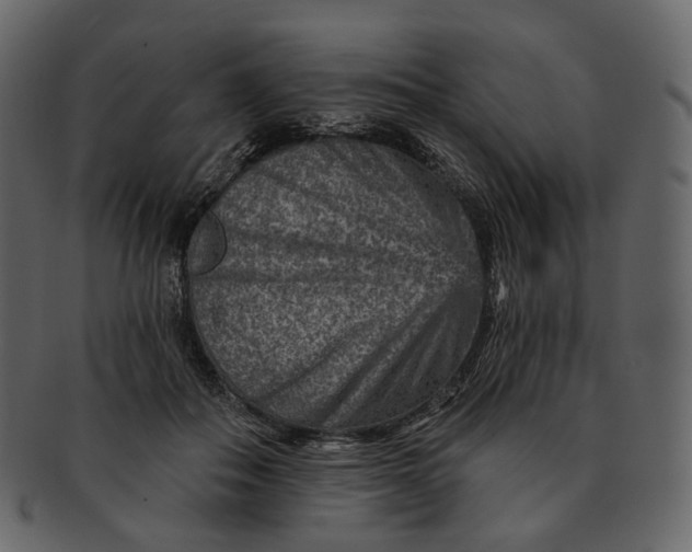 X0000092300506200710051223