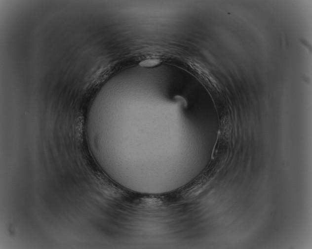 X0000092300509200710051223