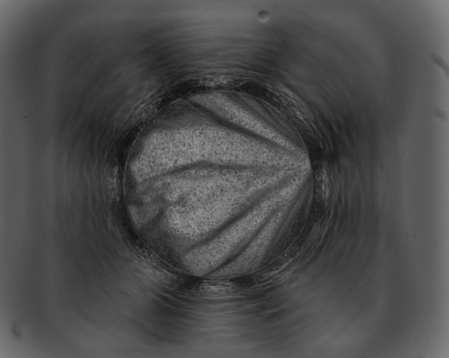 X0000092300510200710051223