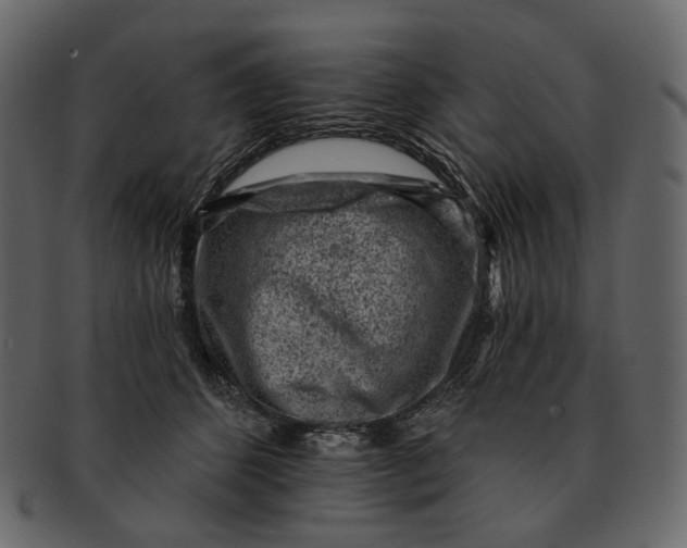 X0000092300512200710051223