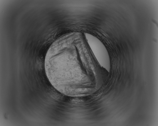 X0000092300515200710051222