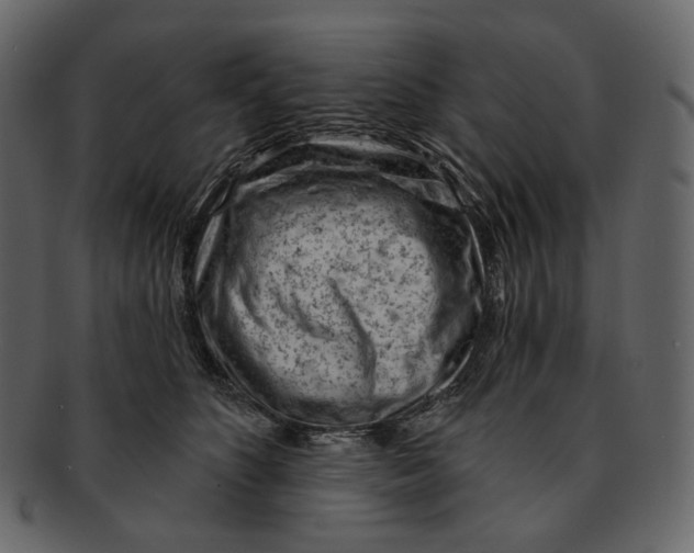 X0000092300516200710051222