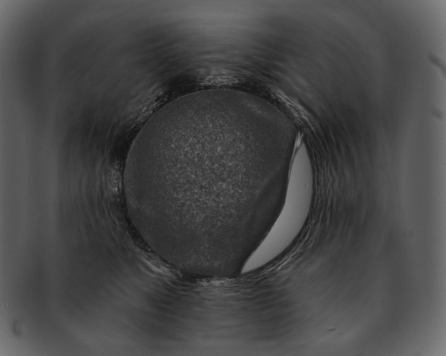 X0000092300517200710051222