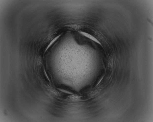 X0000092300518200710051222