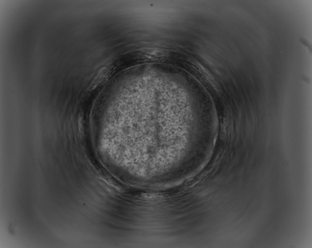 X0000092300520200710051222