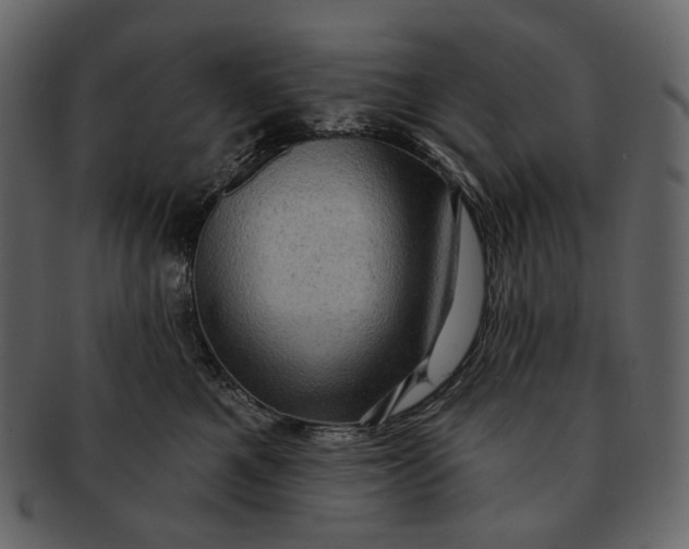 X0000092300521200710051222