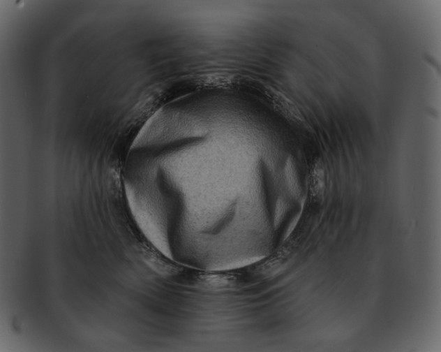 X0000092300522200710051222