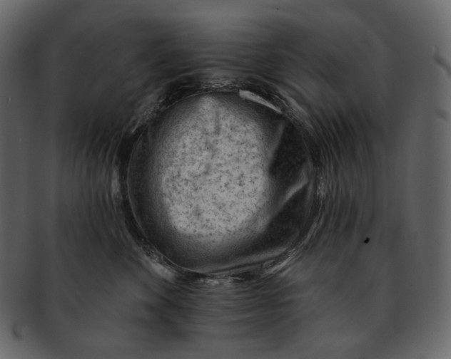 X0000092300524200710051222