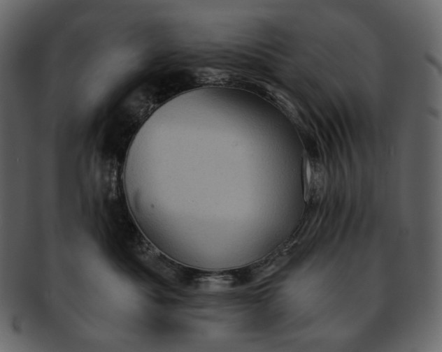 X0000092300525200710051222