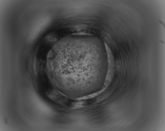 X0000092300527200710051222