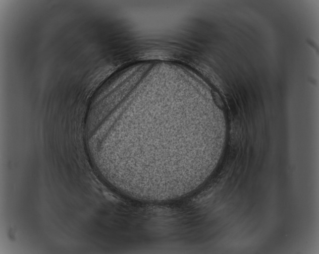 X0000092300529200710051222