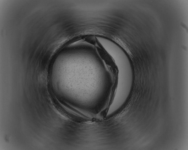 X0000092300530200710051222