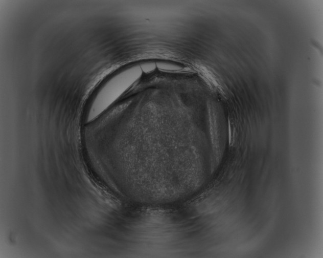 X0000092300531200710051222