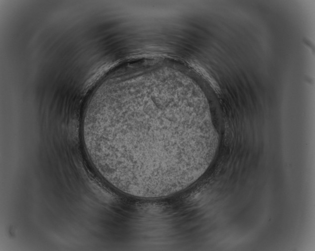 X0000092300533200710051222