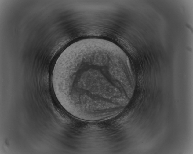 X0000092300534200710051222