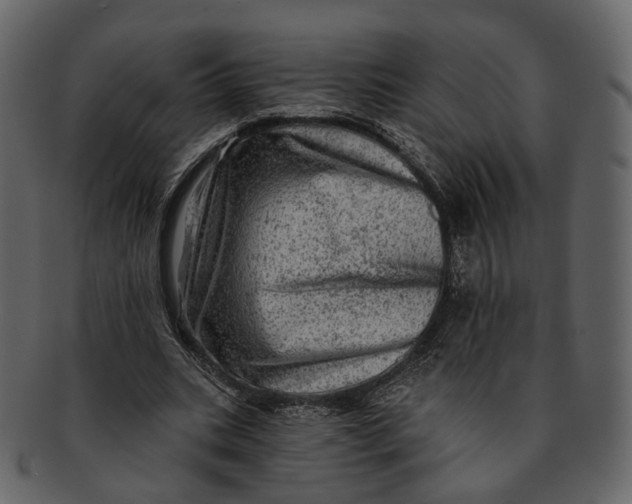 X0000092300535200710051222