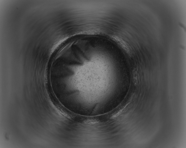 X0000092300536200710051222