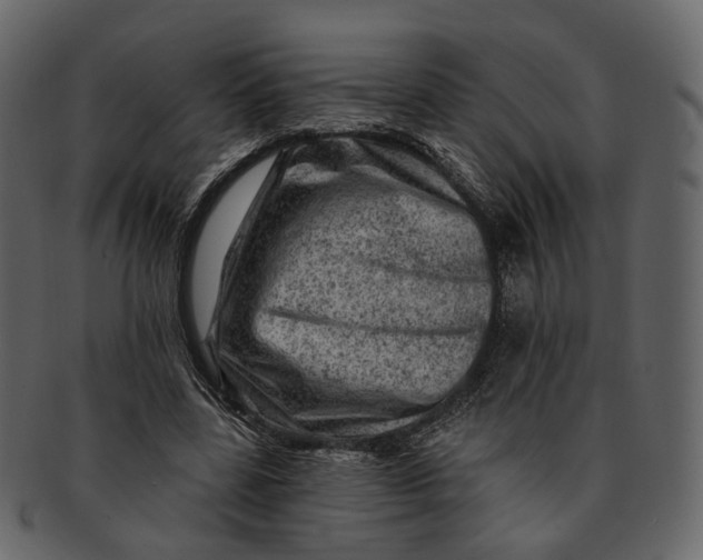 X0000092300539200710051222