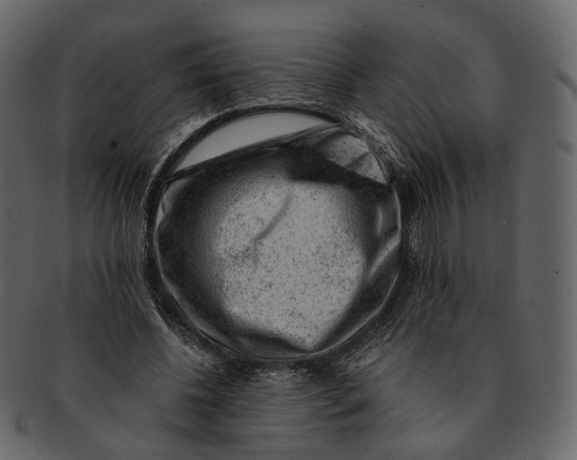 X0000092300540200710051222