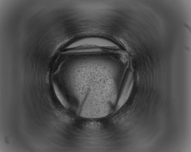 X0000092300543200710051222