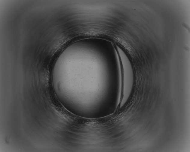 X0000092300544200710051222