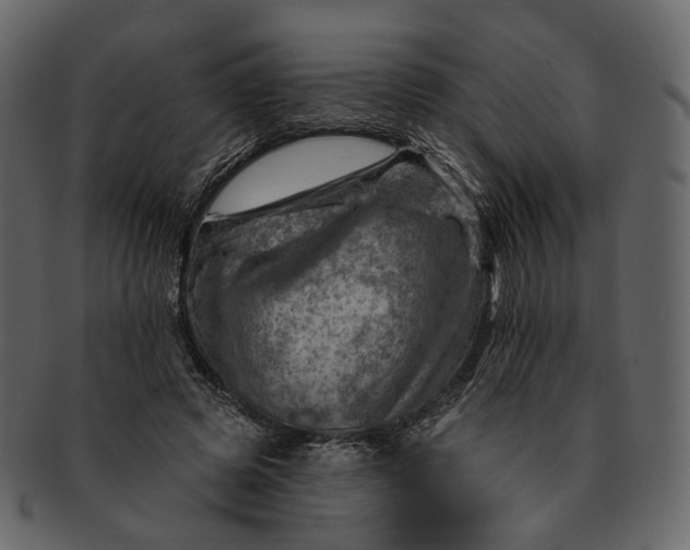 X0000092300545200710051222