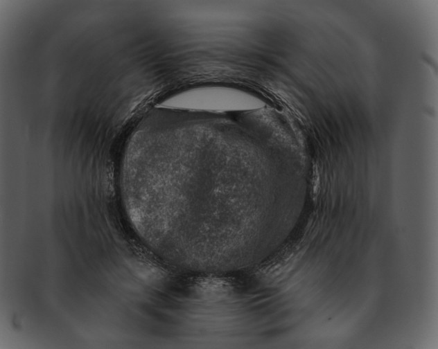 X0000092300547200710051222