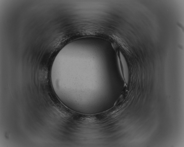 X0000092300548200710051222