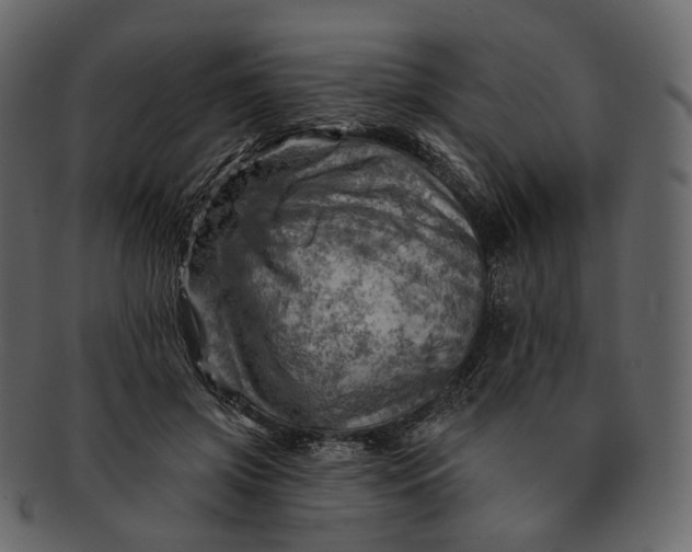 X0000092300549200710051222