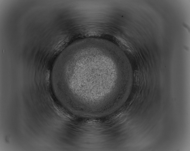 X0000092300550200710051222