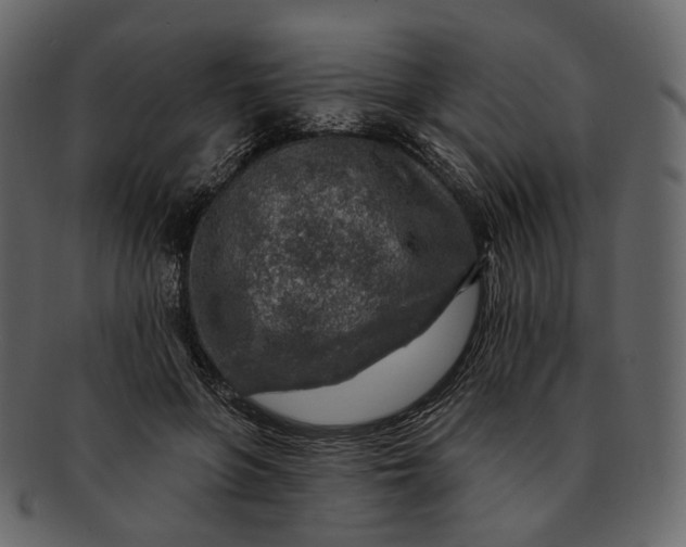 X0000092300551200710051222