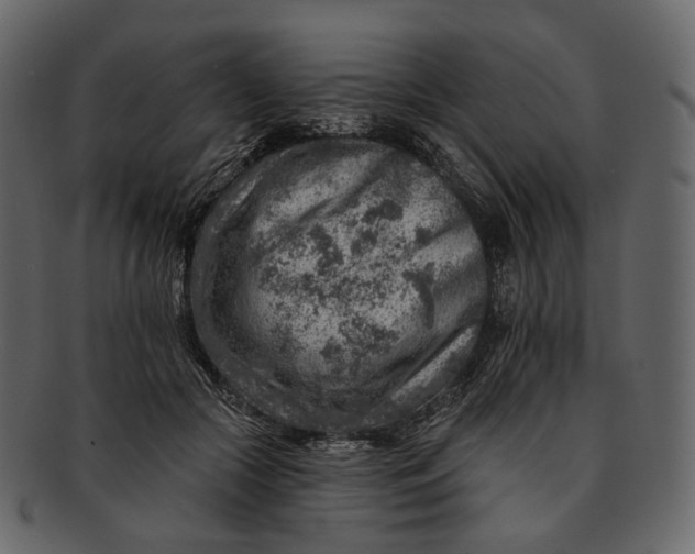 X0000092300553200710051222