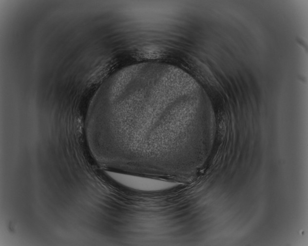 X0000092300555200710051222