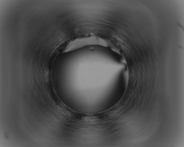 X0000092300556200710051222