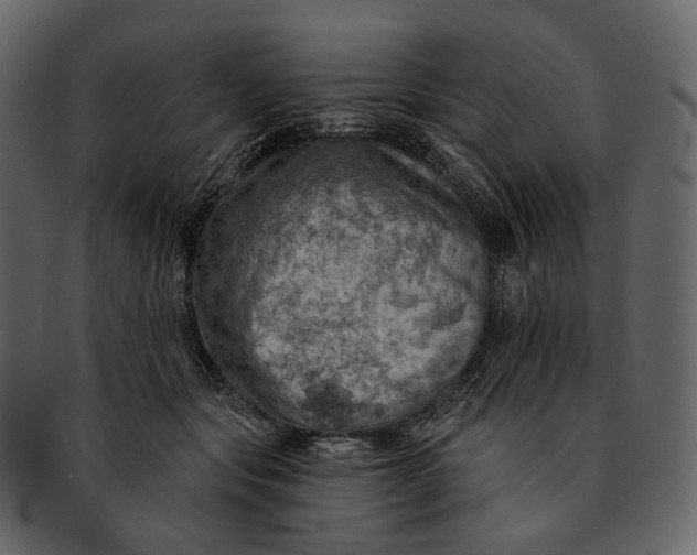 X0000092300557200710051222