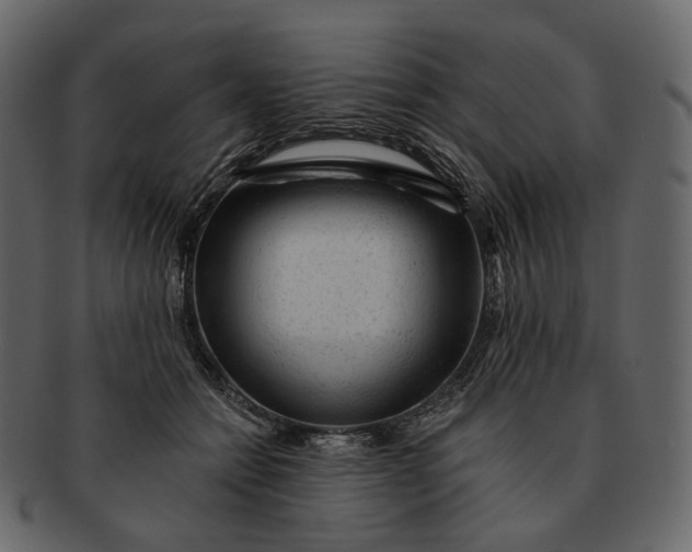 X0000092300558200710051222