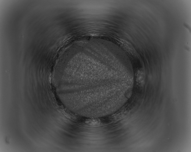 X0000092300559200710051222