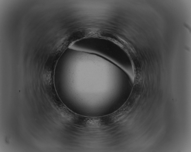 X0000092300560200710051222