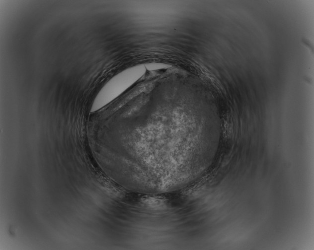 X0000092300561200710051222