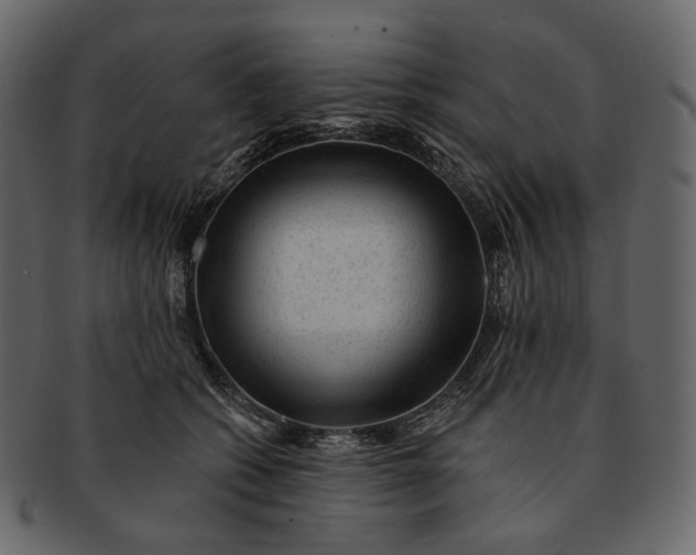 X0000092300562200710051222