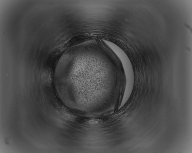 X0000092300566200710051222