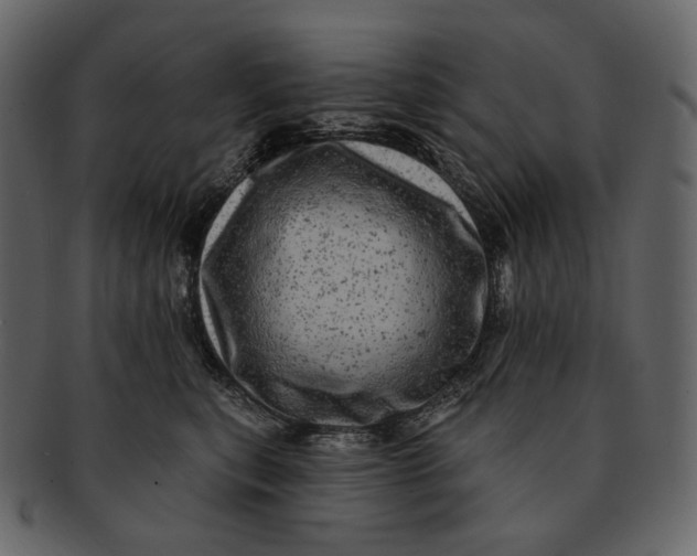 X0000092300567200710051222