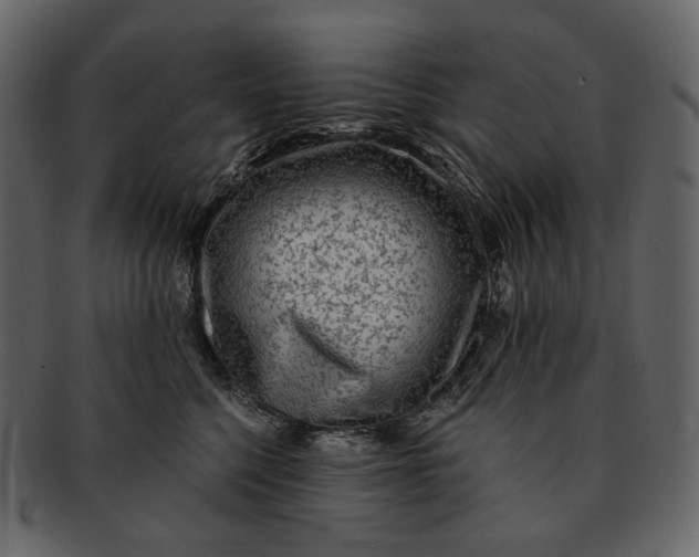 X0000092300568200710051222