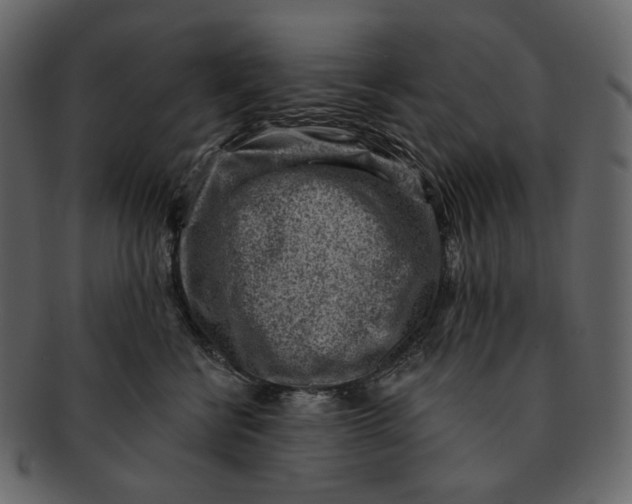 X0000092300570200710051222